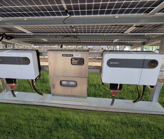 古瑞瓦特，讓貧瘠之地灑滿“綠光”