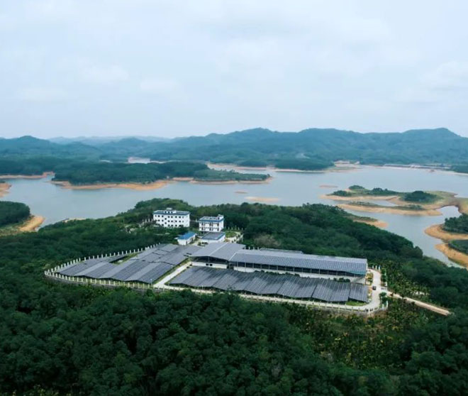 【古瑞瓦特組串式逆變器解決方案】深山林場中的自來水廠電站