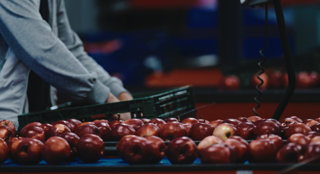 1691750061549160.png 微信圖片_20230811182812.png