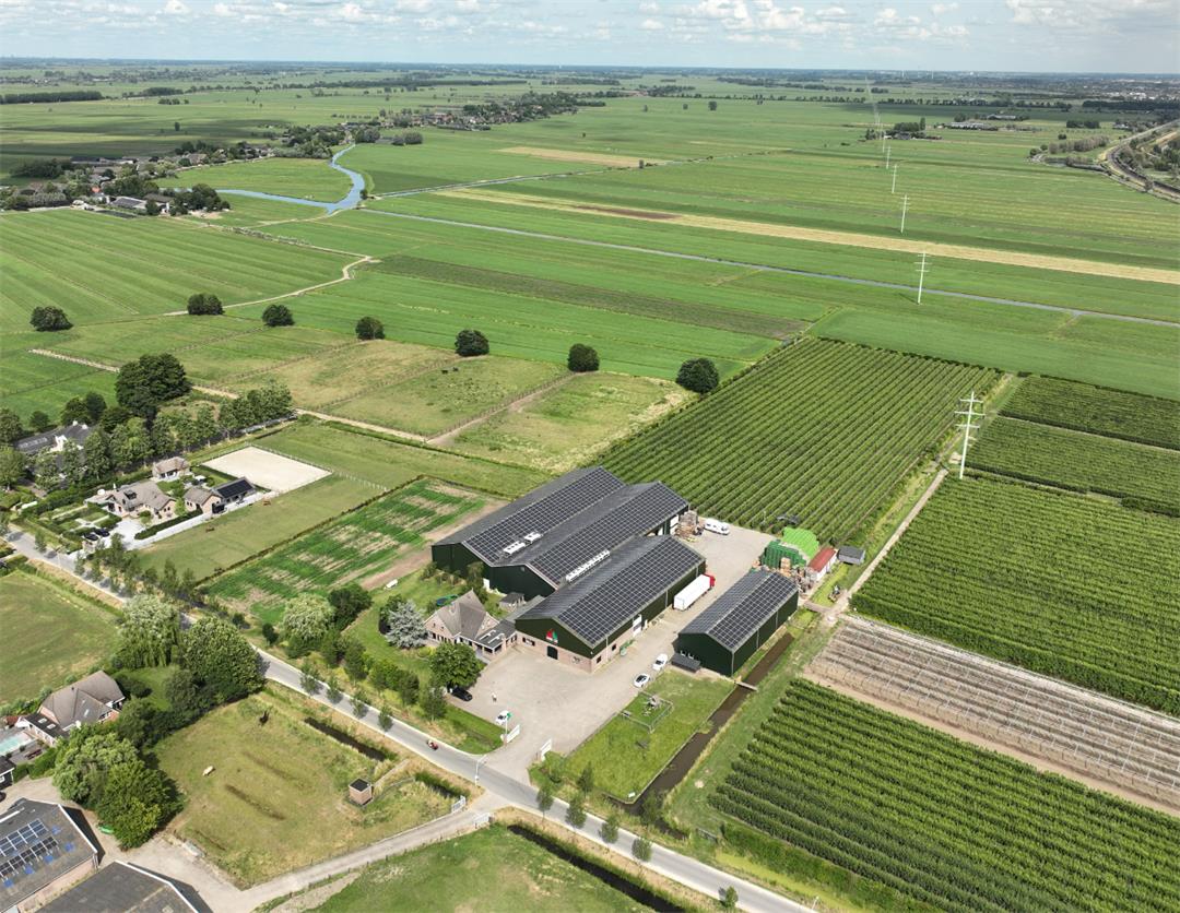 【古瑞瓦特光伏逆變器】綠電走世界|荷蘭水果種植農(nóng)場(chǎng)電站