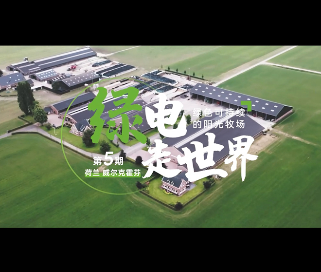 【古瑞瓦特儲(chǔ)能逆變器】綠電走世界 | 荷蘭綠色可持續(xù)的陽(yáng)光牧場(chǎng)